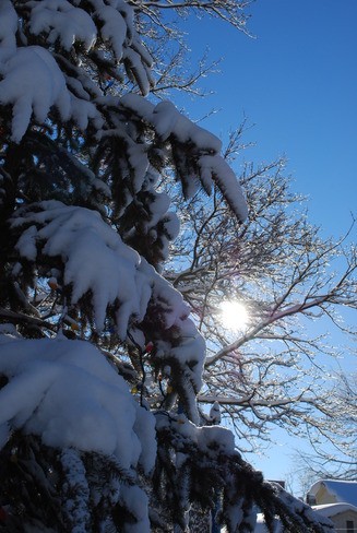 Gorgeous Winter Morn Stratford, Ontario Canada