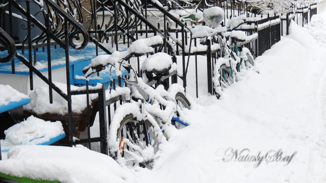 Bikes in snow Montréal, Quebec Canada
