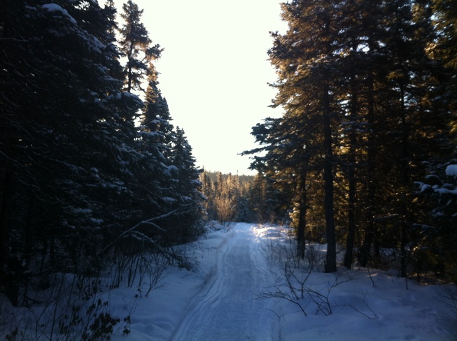 Frosty Morning Trail Gander, Newfoundland and Labrador Canada