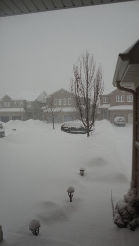 Snow flakes falling falling on my driveway Mississauga, Ontario Canada