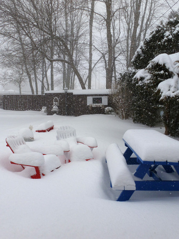 Another Snow Day Burlington, Ontario Canada