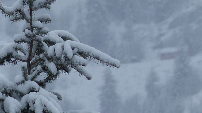 Winter 2014 Grand Forks, British Columbia Canada