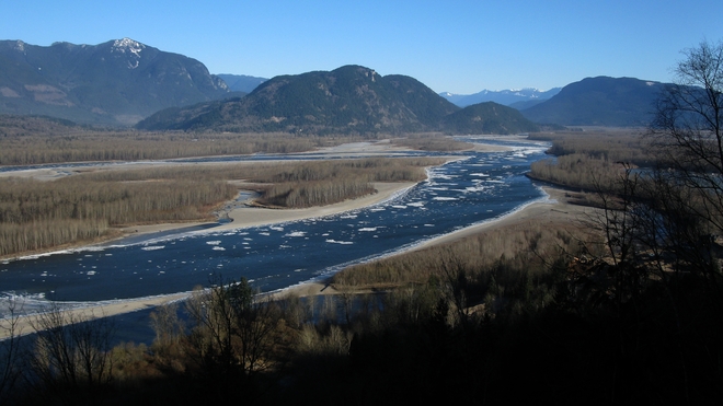 Ice floes forming on the Fraser River. 