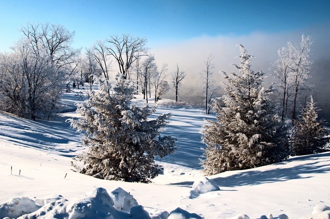 Winter Frost Frankford, Ontario Canada