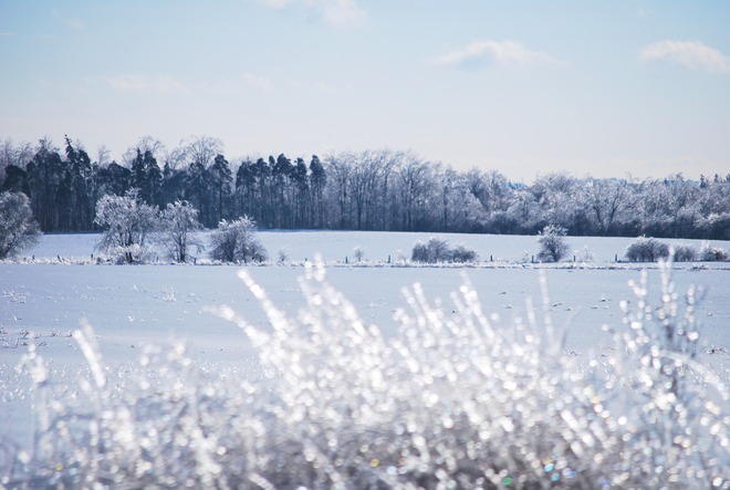 Field of Ice Stouffville, Ontario Canada