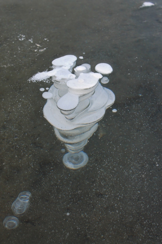 Bubbles frozen in lake ice Banff, Alberta Canada