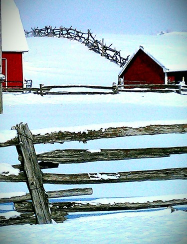 Fences Frankford, Ontario Canada