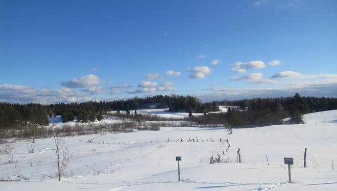 so nice to see my blue sky Rutherglen, Ontario Canada