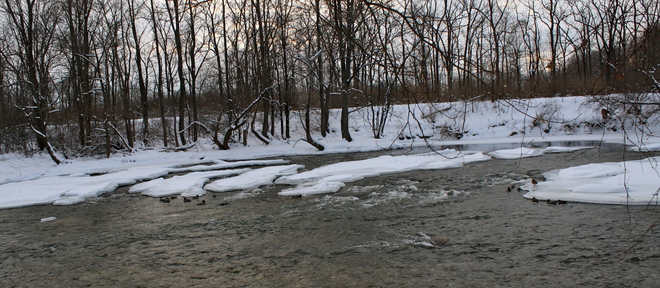 icy river London, Ontario Canada