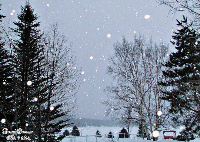 "A Little Snow. Springdale, Newfoundland and Labrador Canada
