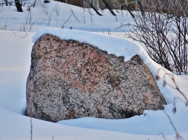 A Rock for Christine W 's 'rock garden'. North Bay, Ontario Canada