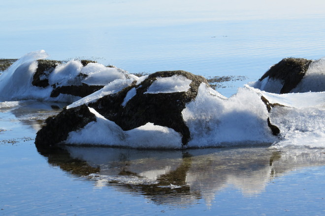 Reflections: Split Ice Chester, Nova Scotia Canada