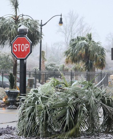 please stop the ice storm North Myrtle Beach, South Carolina United States