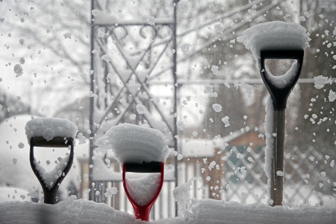 Snowy Shovels Guelph, Ontario Canada