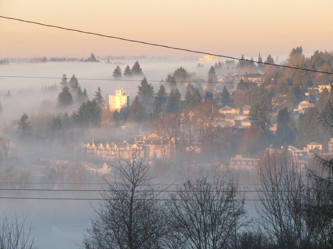 Sun & Fog Coquitlam, British Columbia Canada