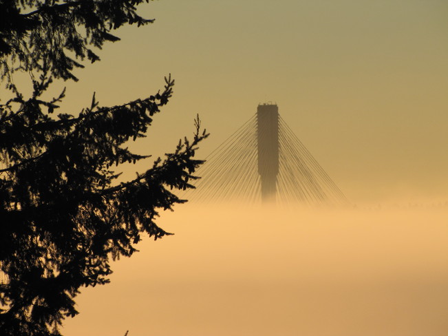 Foggy Bridge Coquitlam, British Columbia Canada