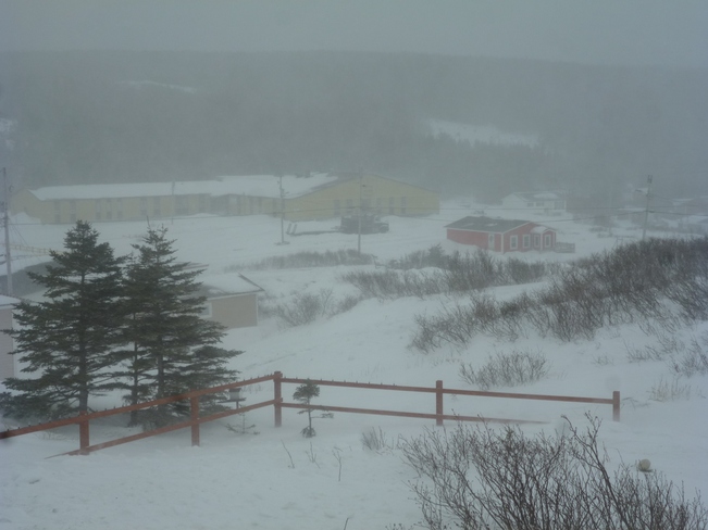 Valentine's Storm St. Lunaire-Griquet, Newfoundland and Labrador Canada