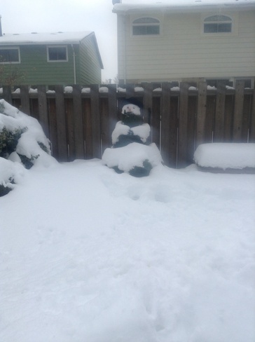 The tree snowman Sarnia, Ontario Canada