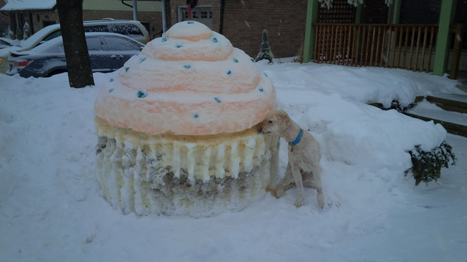 Tired of Winter Make Cupcakes Kitchener, Ontario Canada