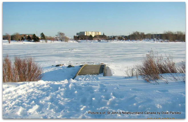 Winter wonderland @ kenny,s pond St. John's, Newfoundland and Labrador Canada