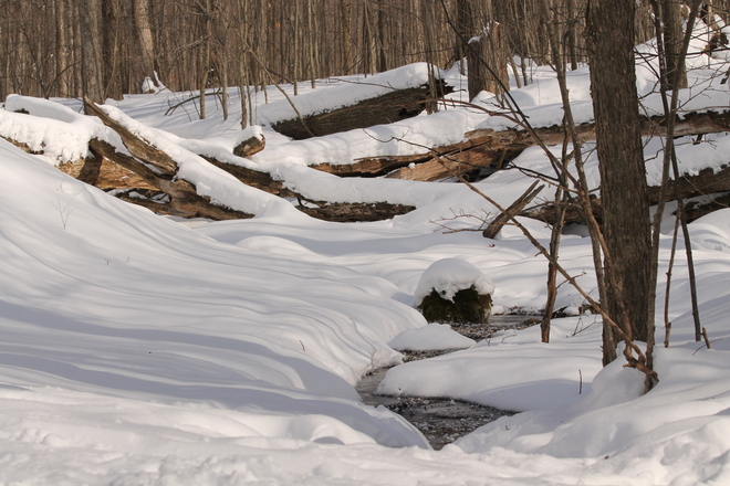 A small stream peeking thru the snow. Kingston, Ontario Canada