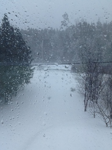 Blizzard in Cottlesville Cottlesville, Newfoundland and Labrador Canada