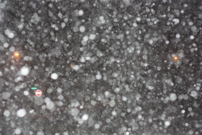 Snow on Feb 17, 2014 Windsor, Ontario Canada