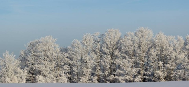 frosty morning Orillia, Ontario Canada