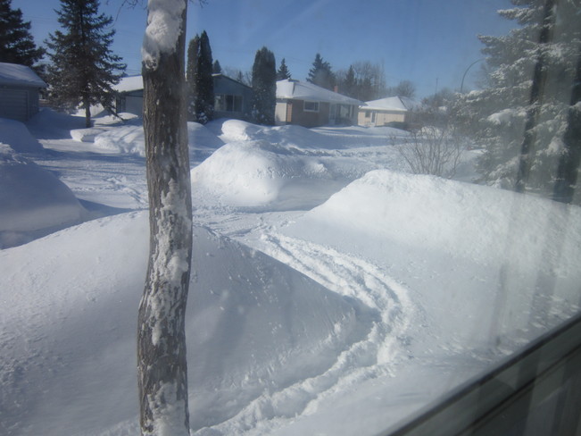 2014 SNOWFALL Selkirk, Manitoba Canada