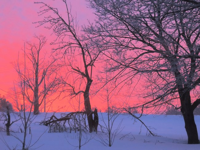 Cold morning dawn Hillsburgh, Ontario Canada