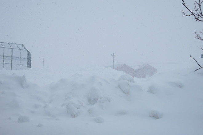 Banks of Snow get Higher Buchans, Newfoundland and Labrador Canada