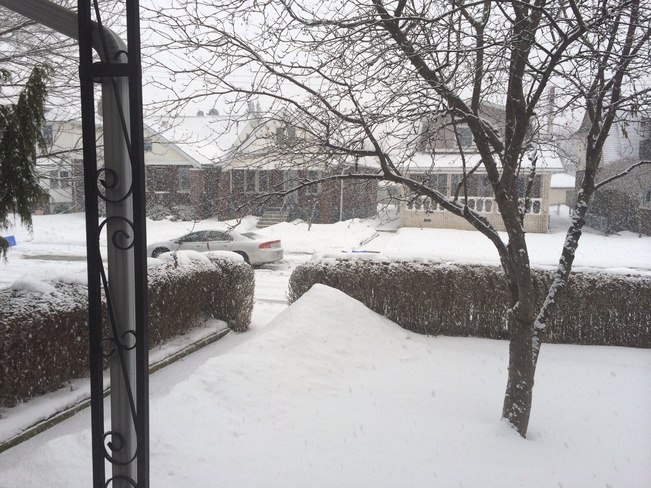Thunder Snow! Windsor, Ontario Canada