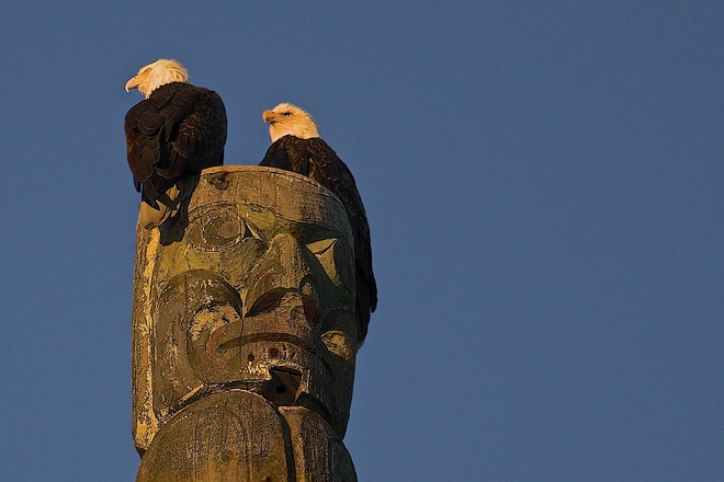 Eagles on the Totem pole Vancouver, British Columbia Canada