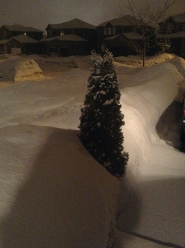snow storm Barrie, Ontario Canada