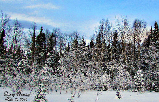 "Winter in Halls Bay" South Brook, Newfoundland and Labrador Canada