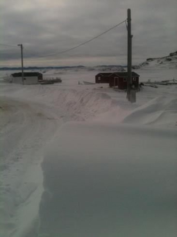 Snow Fall Twillingate, Newfoundland and Labrador Canada