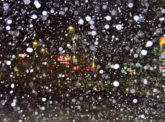 News 'Flash' it's snowing again! North Bay, Ontario Canada