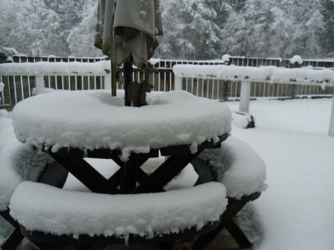 Still snowing Ladysmith, British Columbia Canada