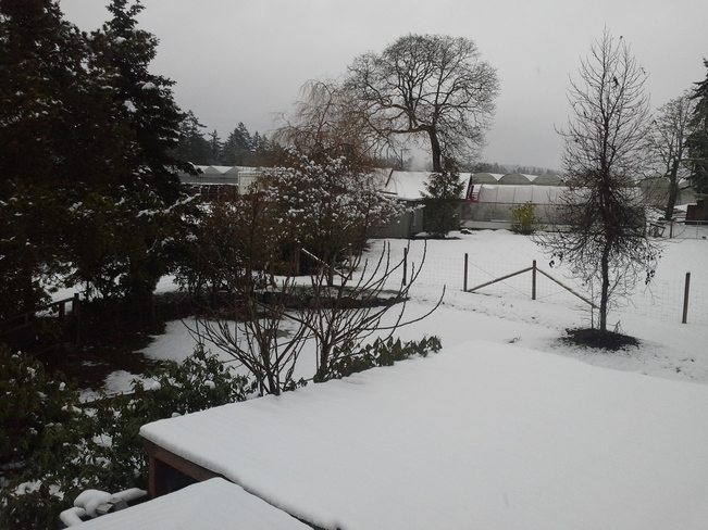 A sudden burst of Winter for the South Coast North Saanich, British Columbia Canada