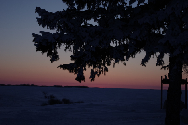Pastel Sunset Reward, Saskatchewan Canada