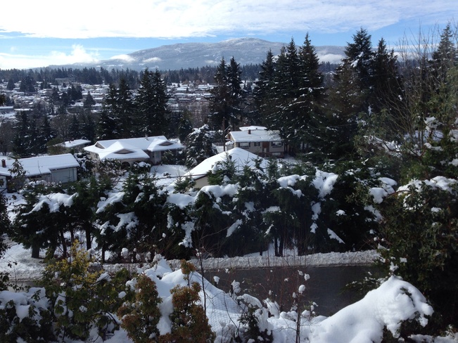 bye bye snow Nanaimo, British Columbia Canada