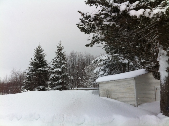 Hidden In Snow? Gander, Newfoundland and Labrador Canada