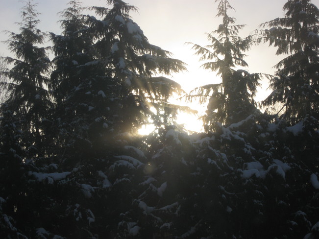 this morning's sunrise Surrey, British Columbia Canada