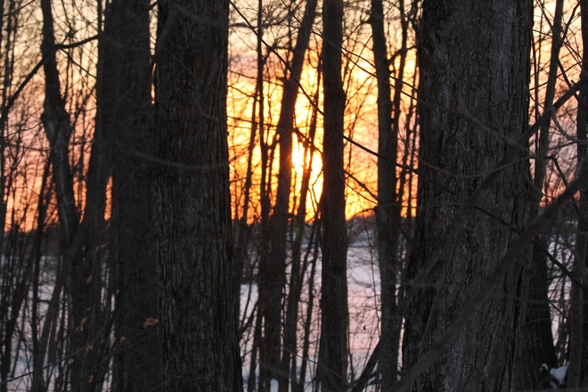 Sunset through the trees over Collins Bay Kingston, Ontario Canada