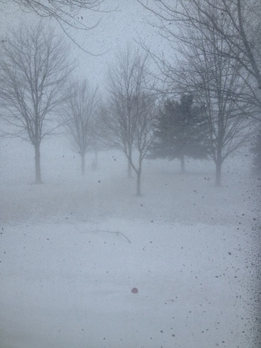 snow squalls Edys Mills, Ontario Canada