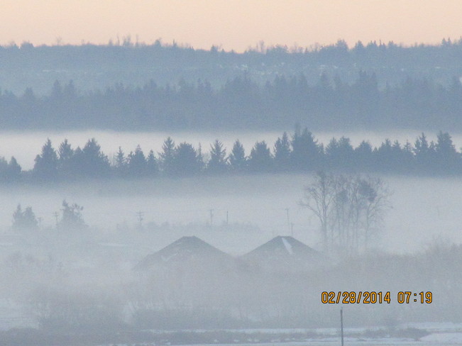 Morning mist Cloverdale, British Columbia Canada