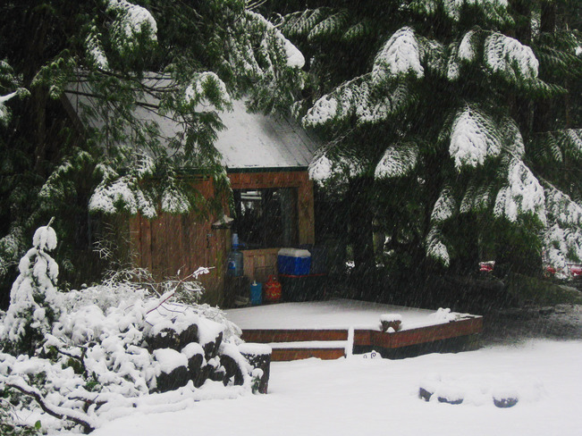 Snow on Cedars over Gabriola cabin 