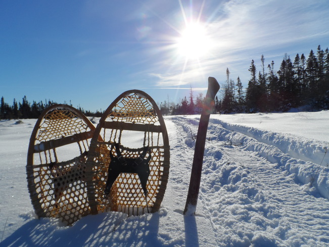 nice morning snowshoeing.. Comfort Cove-Newstead, Newfoundland and Labrador Canada