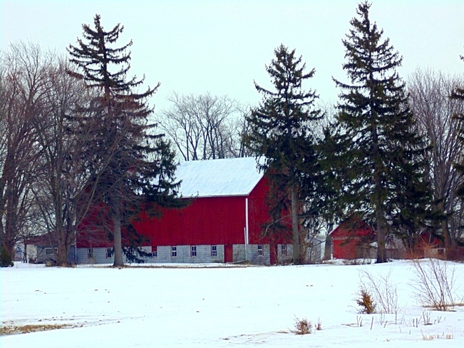 Classic Barn North Ridge, Ontario Canada