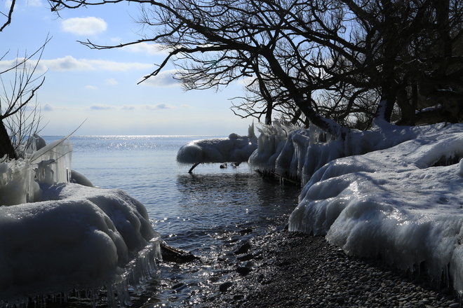 Natural ice sculptures Ajax, Ontario Canada